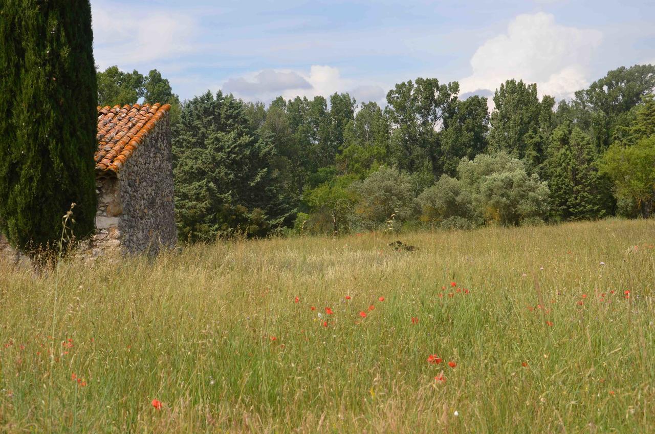 Domaine Shambala - Maison D'Hote En Provence - Piscine Chauffee Velaux ภายนอก รูปภาพ